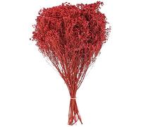 Naturosphère - Décoration Naturelle C41 - Bouquet Fleurs séchées Broom Bloom Rouge - 50 cm