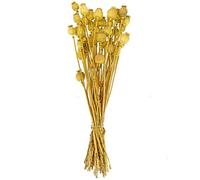 Naturosphère - Décoration Naturelle C41 - Bouquet Fleurs séchées Pavot Jaune - 60 cm