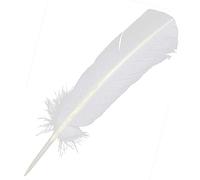 Naturosphère - Décoration Naturelle C43 - Plumes Palette de Dinde - 25 à 30 cm - Lot de 5 - Couleur Blanc