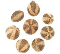 Naturosphère - Décoration Naturelle C45 - Bellani Citrouille - Lot de 5