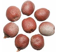 Naturosphère - Décoration Naturelle C45 - Fruits séchés déco Salak Peau de Serpent - Lot de 5