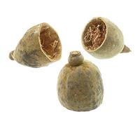 Naturosphère - Décoration Naturelle C45 - Moitié de Fruit du Baobab - Lot de 3
