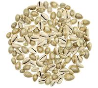 Naturosphère - Mer et Coquillages C31 - Coquillages Cypraea Annulus - 1.5 à 2.5 cm - 100 grammes