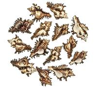 Naturosphère - Mer et Coquillages C31 - Coquillages Murex chicoreus brunneus - 5 à 7 cm - Lot de 5