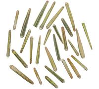 Naturosphère - Mer et Coquillages C31 - Epines d'oursin Vert - Lot de 25