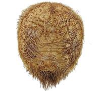 Naturosphère - Mer et Coquillages C33 - Oursin Croix maretia planulata - 4 à 5 cm - A l'unité