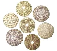 Naturosphère - Mer et Coquillages C33 - Test d'oursin toxopneuste pileosus - A l'unité - Taille 9 à 10 cm