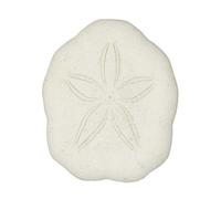 Naturosphère - Mer et Coquillages C33 - Tests d'oursins laganum laganum - 2.5 à 3.5 cm - Lot de 4