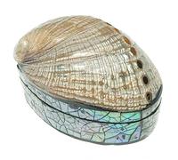 Naturosphère - Mer et Coquillages C34 - Boite à Bijoux avec Haliotis nacré et plaquage Abalone paua
