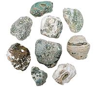 Naturosphère - Minéraux et fossiles C25 - Pierres brutes jaspe orbiculaire une face polie - 3 à 6 cm - Lot de 3