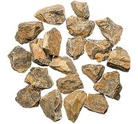 Naturosphère - Minéraux et fossiles C25 - Pierres brutes stromatolithe - 3 à 5 cm - 250 grammes