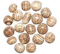 Naturosphère - Minéraux et fossiles C27 - Pierres roulées aragonite zonée marron - 2 à 3 cm - Lot de 2