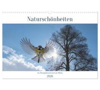 Naturschönheiten im Biosphärerenreservat Rhön (Wandkalender 2026 DIN A3 quer), CALVENDO Monatskalender: Die ausgewählten Naturschätze des UNESCO ... jeden Naturbegeisterten das ganze Jahr über..