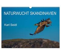Naturwucht Skandinavien (Wandkalender 2026 DIN A3 quer), CALVENDO Monatskalender: Landschaft und Tierwelt Skandinaviens