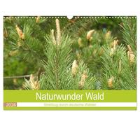 Naturwunder Wald (Wandkalender 2026 DIN A3 quer), CALVENDO Monatskalender: Der Wald, ein unbezahlbares Ökosystem.