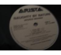 Naughty By Nature - Wicked Bounce/the Blues
