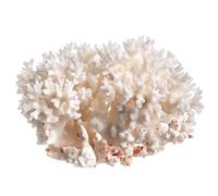 Nautical Crush Trading Mer Blanche Dentelle Corail | Dentelle Corail pocillopora damicornis | De Plus Gratuit Nautique Ebook par Joseph Pluies