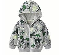 NautySaurs Sweat à capuche zippé dinosaure pour garçon, Gris C, 4 ans