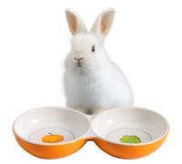 Navaris Gamelle Double Chaton - Lot 2X Gamelle Céramique pour Chatons Cochon d'Inde Lapin Chinchilla - 2X Bol pour Croquette Eau Pâtée pour Petit Animal de Compagnie