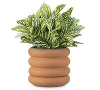 Navarsi Pot de Fleur - Pot Plante intérieur en Terre Cuite 26 x 16 x 4cm avec Base Soucoupe Amovible - Pot Fleur Interieur Exterieur Design ondulé
