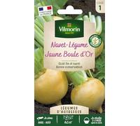 Navet Jaune Boule d'Or - Légumes d'Autrefois