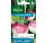 Navet-Légume de Nancy à Feuille Entière - Grand Modèle