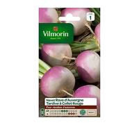 Vilmorin - Navet rave d'auvergne tardif