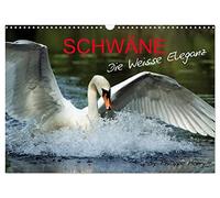 NAVETS., Version française (Calendrier mural 2026 DIN A3 portrait), Calendrier CALVENDO mensuel