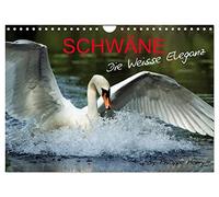 NAVETS., Version française (Calendrier mural 2026 DIN A4 portrait), Calendrier CALVENDO mensuel