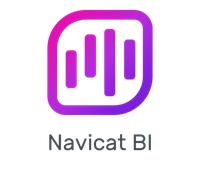 Navicat BI, 1 User