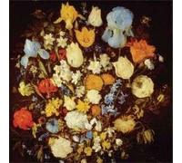 Young Moon - Navigated Like The Swans [Import]