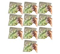 Navna Lot de 10 ventouses puissantes pour perchoirs en forme de tortues et feuilles sécurisées pour tortues, lézards, ermites, crabes, outil d'enrichissement de l'habitat