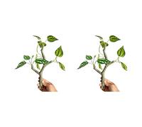 Navna Natural Lookings Lot de 2 plantes artificielles pour reptiles grimpant - Environnement sûr - Terrariums - Paysage d'aquarium