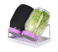 Navna Systèmes de germination en verre avec bac d'égouttement pour luzerne, haricots mungo biologiques et radis, peu encombrants, peu encombrants