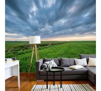 NAWVNMI Papier Peint Panoramique 3D Campagne Champs 250 x 175cm - Décoration Murale Nuages D'Orage - Tapisserie Murales Papier Peint Soie pour Chambre Salon - Poster Tableaux Photo Muraux