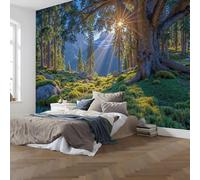 NAWVNMI Papier Peint Panoramique Lumière Du Soleil Forêt Lumière Tachetée Ombre Soie, 350 x 256cm, Poster geant Mural, pour Salon Chambre restaurant Décoration Murale