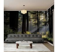 NAWVNMI Papier Peint Panoramique Mystérieux Brumeux Forêt, 3D Poster Geant Mural Tranquille Nature, Tapisserie Panoramique Salon, Décoration Murale Chambre, 250 x 175cm