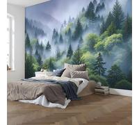 NAWVNMI Papier Peint Panoramique Paysage Forestier, 3D Poster Geant Mural Enveloppé De Brume, Tapisserie Panoramique Salon, Décoration Murale Chambre, 350 x 256cm