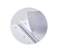 Nb-1 A4 80f Quadr. 90g Av Sable Mr