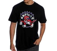 NBA Team Logo Tee Toronto Raptors