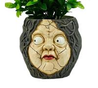 Nbbwwu Jardinière en Forme De Visage Tête | Vase Visage Abstrait en Résine,Déco Maison pour Table Extérieur Halloween Patio Étagères Bureau Appui de Fenêtre Intérieur