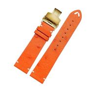 NBCNZCTSAS 20 22 mm Bracelet for Rolex Fit for Seiko Noir Vert Fit for Water Ghost Fit for Tissot Fit for Omega Fit for Bracelet de montre en cuir d'autruche Bracelets de montre for hommes et femmes(B