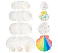 NBEADS 14 Pcs 4 Tailles Coquilles Saint Jacques, 7.45-11.4 cm Naturel Grand Coquille Blanc Décorations de Coquille Coquillages Coquille de Pétoncle pour Mariage de Plage et Océan Crafts la Décoration
