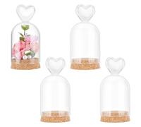 NBEADS 4 Pcs Vitrine de Pots Décoratifs, Cloche Décorative en Verre en Forme de Cœur de 4.55x10.4cm pour Plantes Roches Fleurs Rangement et Exposition Artistiques, Arc