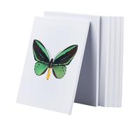 NBEADS 6 Pcs Feuilles en mousse EVA, 10mm D'Épaisseur Planche à épingler en mousse EVA Planche d'étalement des Spécimens pour la Création de Costumes, l'Artisanat, les Projets Créatifs, 20.5x14x1cm