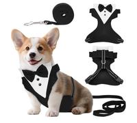 NBEADS Harnais de Smoking pour Chien, Harnais de Poitrine pour Chien avec Laisse Réglable et Nœud Papillon pour Anniversaire Mariage Promenade, Noir, 30x27.5x1.7cm