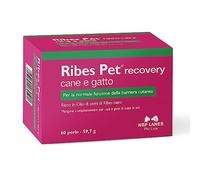NBF Lanes | Ribes Pet Recovery Chien et Chat, 60 Perles Appétibles, pour la fonction normale de la Barrière Cutanée