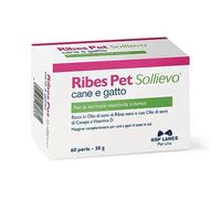 NBF Lanes | Ribes Pet Soulagement Chien et Chat, 60 Perles Appétissantes, pour Réactivité Cutanée normale