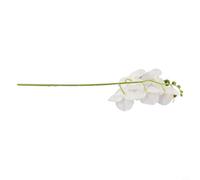 NbgrvB Orchidée phalaenopsis artificielle de 45 cm, tige de fleur réaliste avec fil flexible, élégante décoration de table de mariage pour maison, mariage, matériau en PVC souple, 1 pièce, blanc
