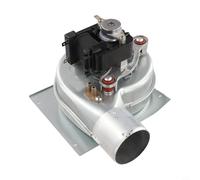 NbgrvB Ventilateur de cheminée de rechange 35 W, construction en fer pour environnements à haute chaleur, moteur silencieux 220 V sans balais, dissipation efficace de la chaleur